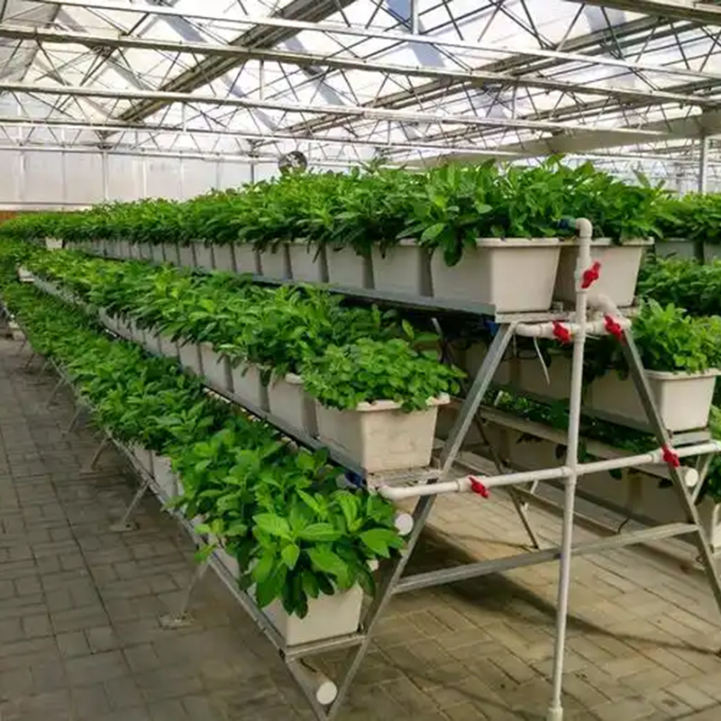 宜昌市植物工厂植物工厂 - 厂家